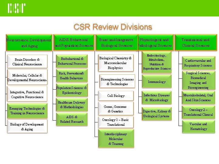 CSR Review Divisions AIDS, Behavioral Neuroscience, Development and Population Sciences and Aging Brain Disorders