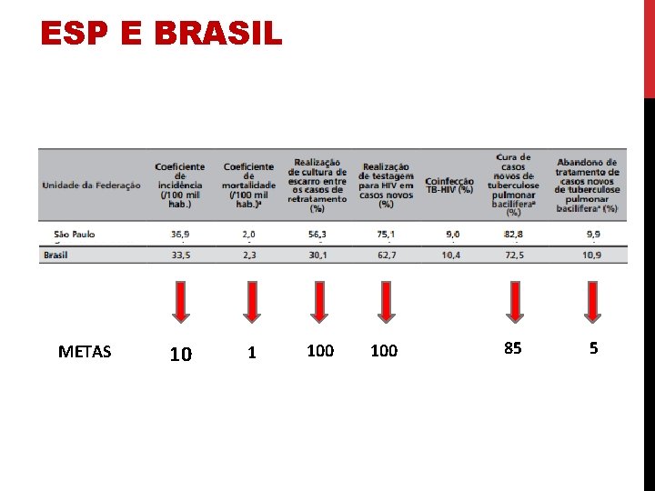 ESP E BRASIL METAS 10 1 100 85 5 