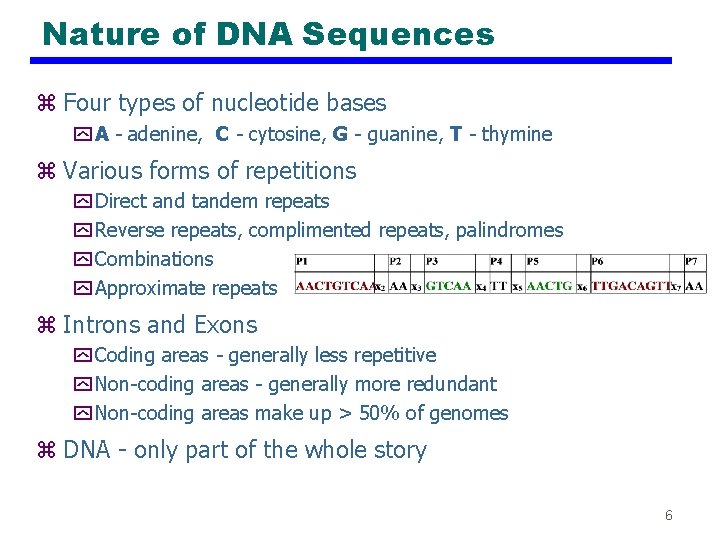 Nature of DNA Sequences z Four types of nucleotide bases y A - adenine,