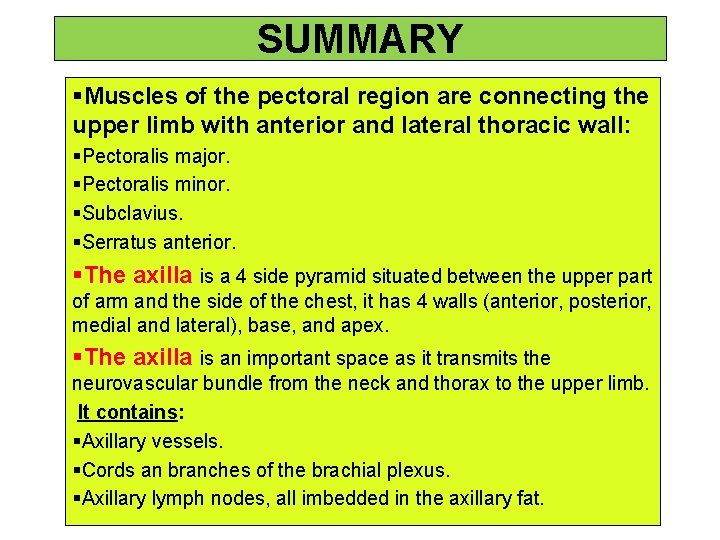 SUMMARY §Muscles of the pectoral region are connecting the upper limb with anterior and