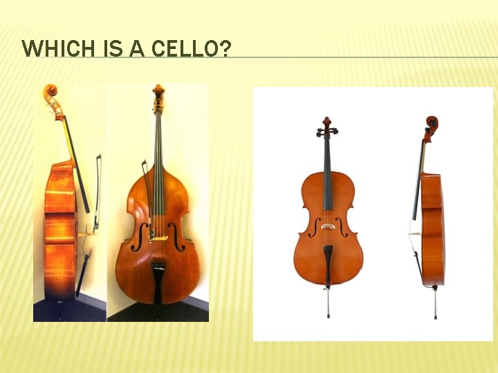 WHICH IS A CELLO? 