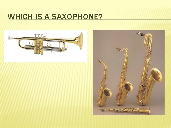 WHICH IS A SAXOPHONE? 