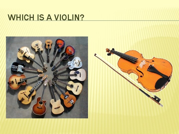 WHICH IS A VIOLIN? 