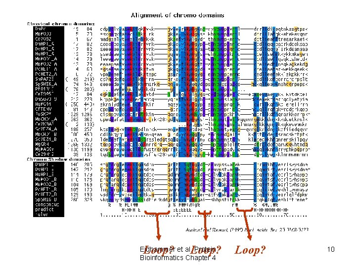 Loop? Eidhammer et al. Protein Bioinformatics Chapter 4 Loop? 10 Loop? Eidhammer et al. Protein Bioinformatics Chapter 4 Loop? 10