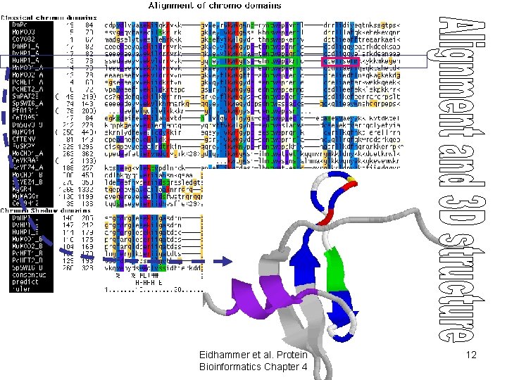 Eidhammer et al. Protein Bioinformatics Chapter 4 12 Eidhammer et al. Protein Bioinformatics Chapter 4 12