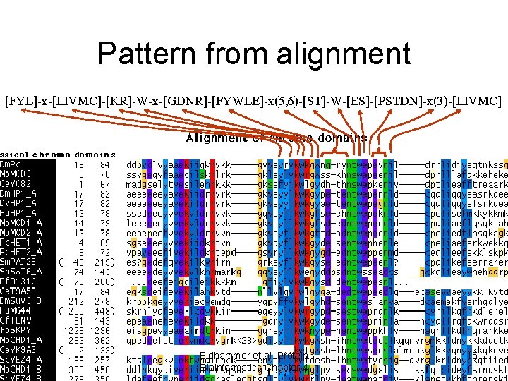 Pattern from alignment [FYL]-x-[LIVMC]-[KR]-W-x-[GDNR]-[FYWLE]-x(5, 6)-[ST]-W-[ES]-[PSTDN]-x(3)-[LIVMC] Eidhammer et al. Protein Bioinformatics Chapter 4 15 
