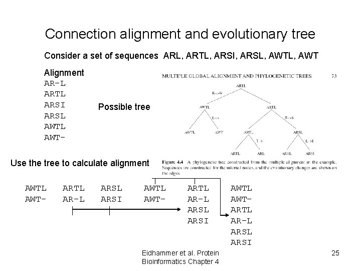 Connection alignment and evolutionary tree Consider a set of sequences ARL, ARTL, ARSI, ARSL, Connection alignment and evolutionary tree Consider a set of sequences ARL, ARTL, ARSI, ARSL,