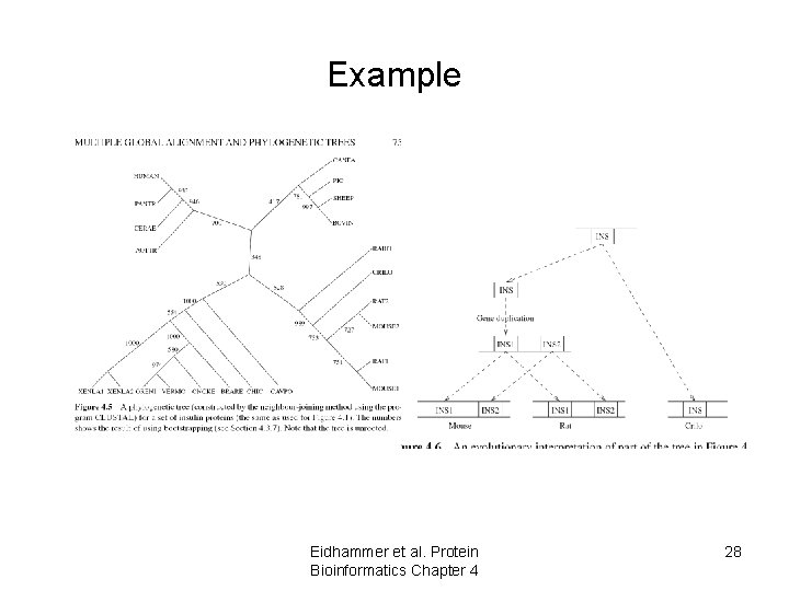 Example Eidhammer et al. Protein Bioinformatics Chapter 4 28 Example Eidhammer et al. Protein Bioinformatics Chapter 4 28
