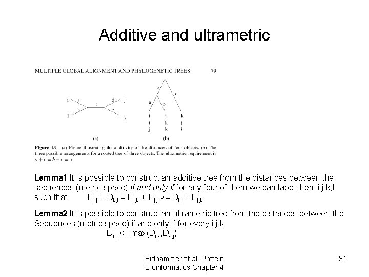 Additive and ultrametric Lemma 1 It is possible to construct an additive tree from Additive and ultrametric Lemma 1 It is possible to construct an additive tree from