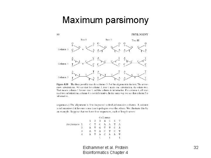 Maximum parsimony Eidhammer et al. Protein Bioinformatics Chapter 4 32 Maximum parsimony Eidhammer et al. Protein Bioinformatics Chapter 4 32