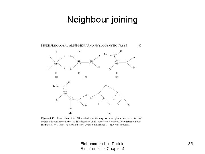 Neighbour joining Eidhammer et al. Protein Bioinformatics Chapter 4 35 Neighbour joining Eidhammer et al. Protein Bioinformatics Chapter 4 35
