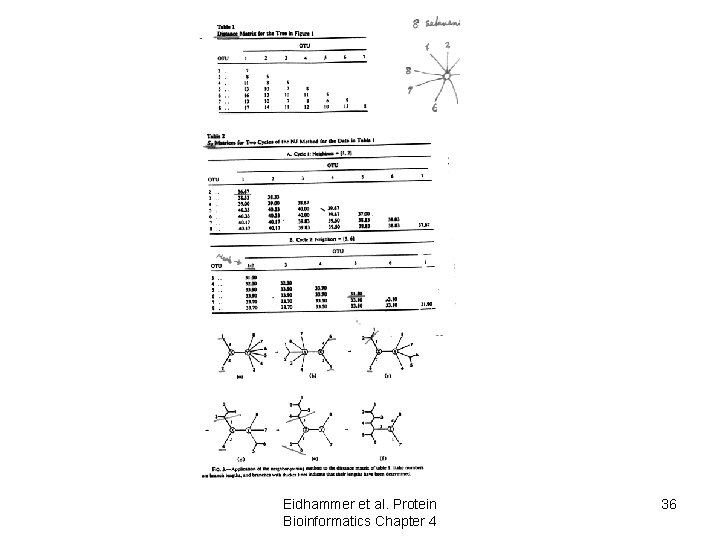 Eidhammer et al. Protein Bioinformatics Chapter 4 36 Eidhammer et al. Protein Bioinformatics Chapter 4 36