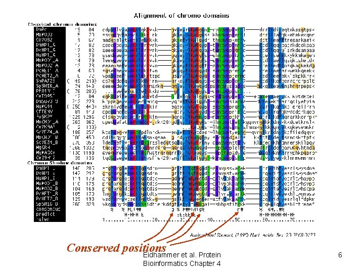 Conserved positions Eidhammer et al. Protein Bioinformatics Chapter 4 6 Conserved positions Eidhammer et al. Protein Bioinformatics Chapter 4 6