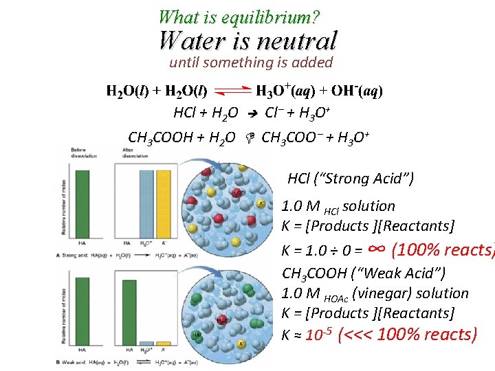 What is equilibrium? Water is neutral until something is added HCl + H 2