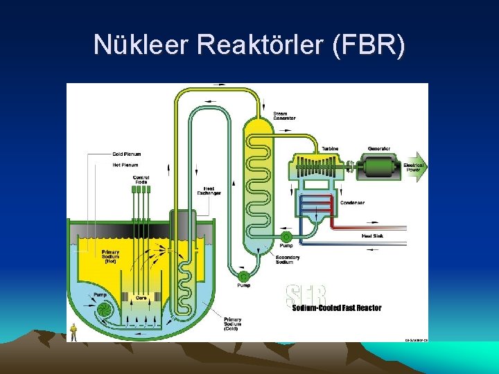 Nükleer Reaktörler (FBR) 