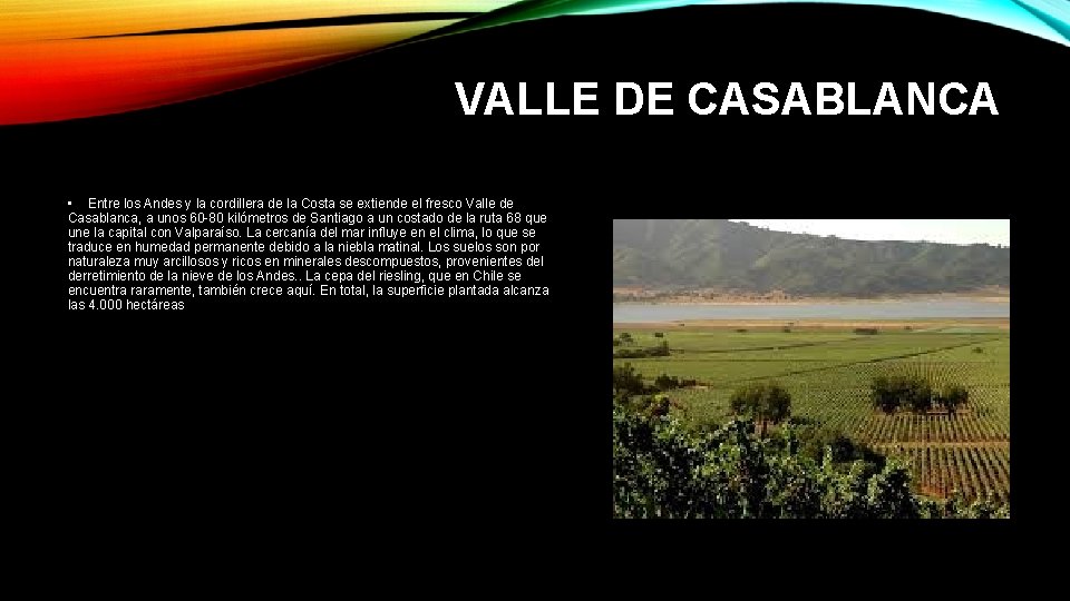 VALLE DE CASABLANCA • Entre los Andes y la cordillera de la Costa se