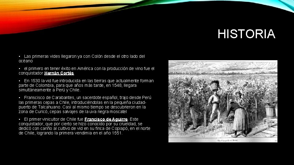 HISTORIA • Las primeras vides llegaron ya con Colón desde el otro lado del