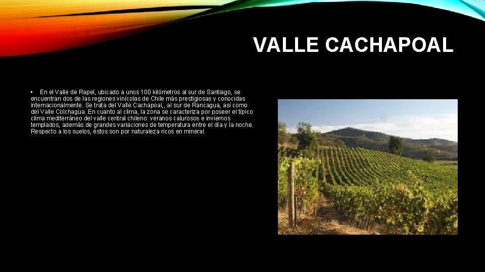 VALLE CACHAPOAL • En el Valle de Rapel, ubicado a unos 100 kilómetros al