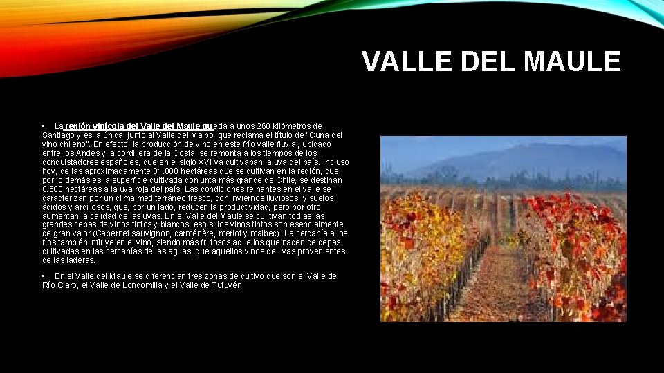 VALLE DEL MAULE • La región vinícola del Valle del Maule queda a unos