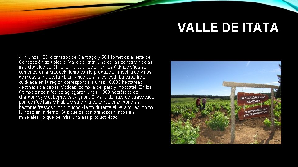 VALLE DE ITATA • A unos 400 kilómetros de Santiago y 50 kilómetros al