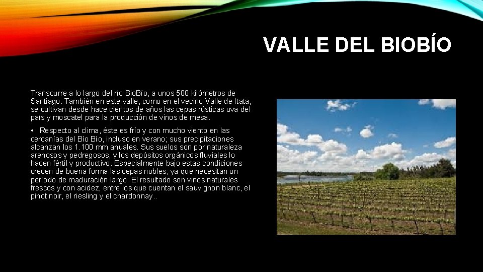 VALLE DEL BIOBÍO Transcurre a lo largo del río Bio. Bío, a unos 500