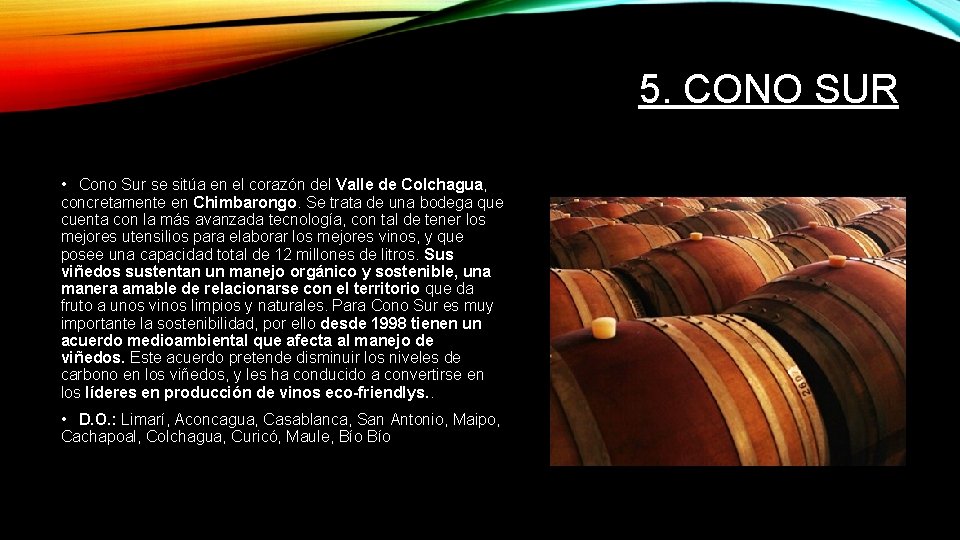 5. CONO SUR • Cono Sur se sitúa en el corazón del Valle de