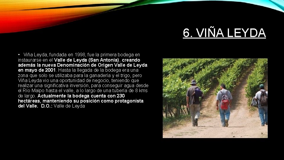 6. VIÑA LEYDA • Viña Leyda, fundada en 1998, fue la primera bodega en