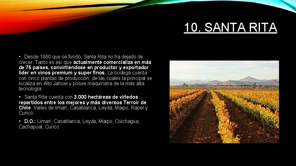 10. SANTA RITA • Desde 1880 que se fundó, Santa Rita no ha dejado