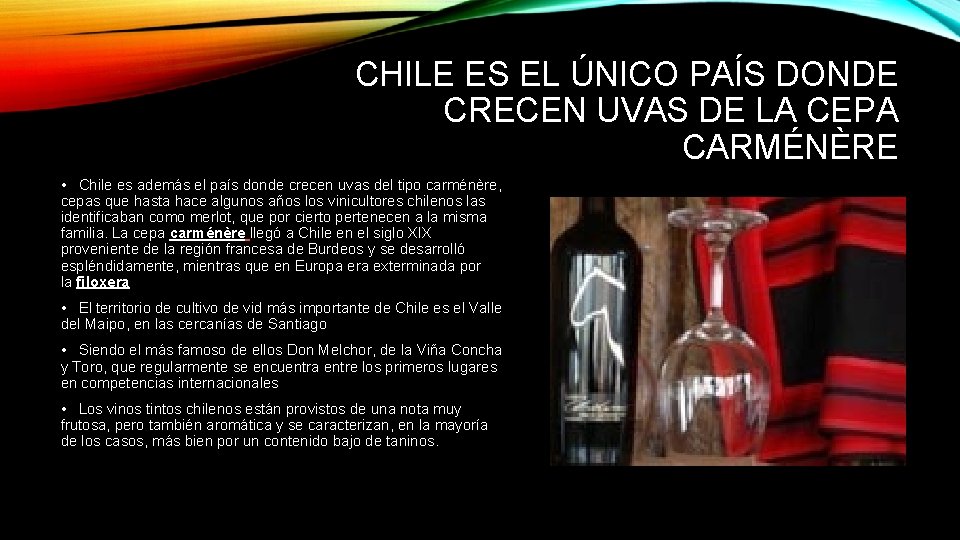 CHILE ES EL ÚNICO PAÍS DONDE CRECEN UVAS DE LA CEPA CARMÉNÈRE • Chile