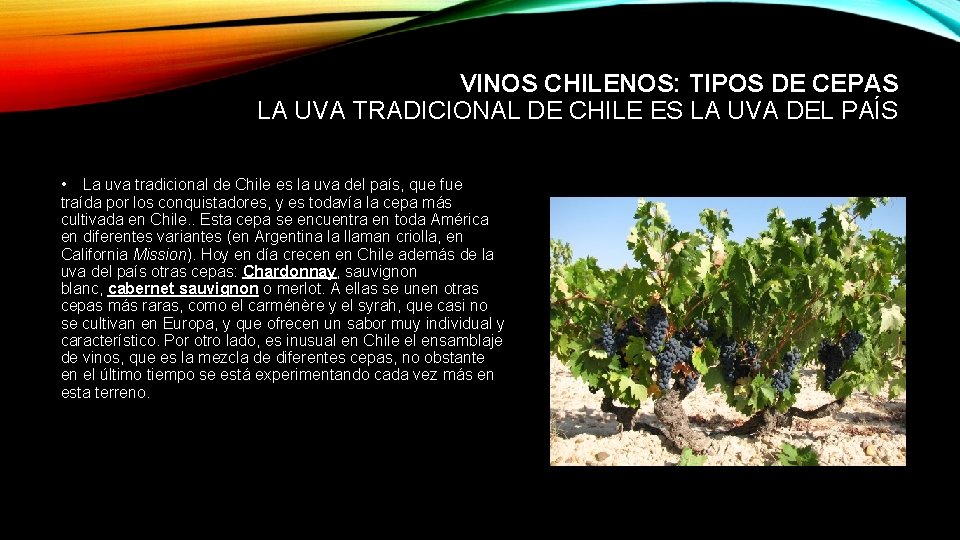 VINOS CHILENOS: TIPOS DE CEPAS LA UVA TRADICIONAL DE CHILE ES LA UVA DEL