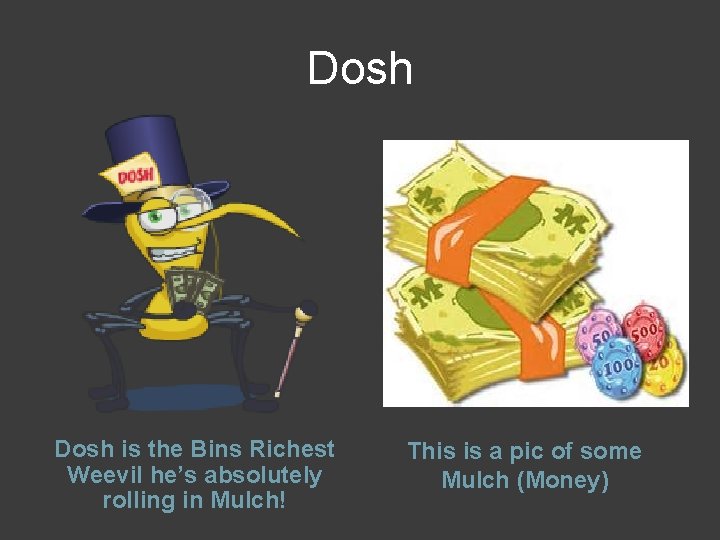 Dosh is the Bins Richest Weevil he’s absolutely rolling in Mulch! This is a