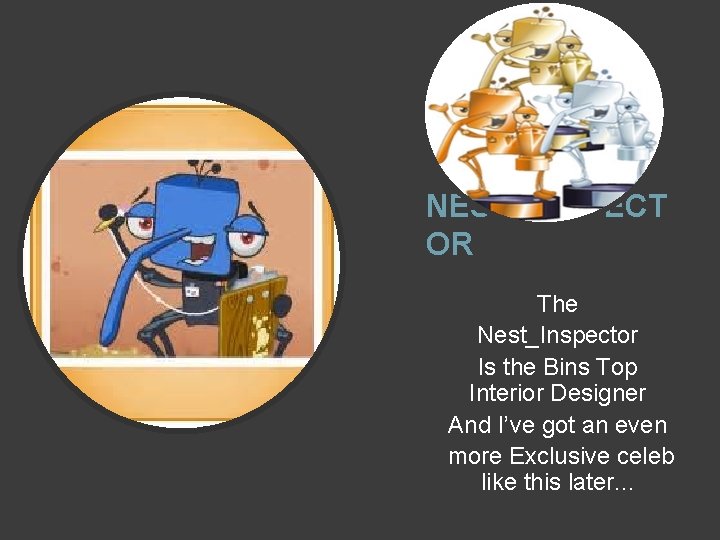 NEST_INSPECT OR The Nest_Inspector Is the Bins Top Interior Designer And I’ve got an