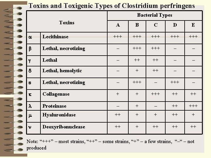 Toxins and Toxigenic Types of Clostridium perfringens Bacterial Types Toxins A B C D