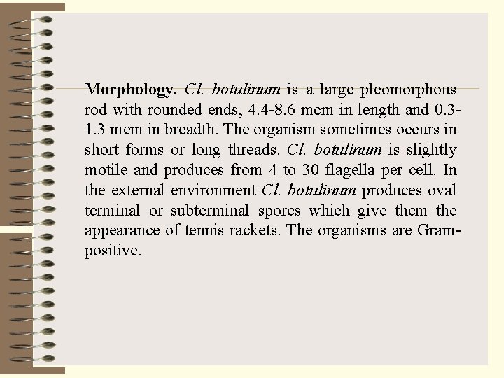 Morphology. Cl. botulinum is a large pleomorphous rod with rounded ends, 4. 4 -8.