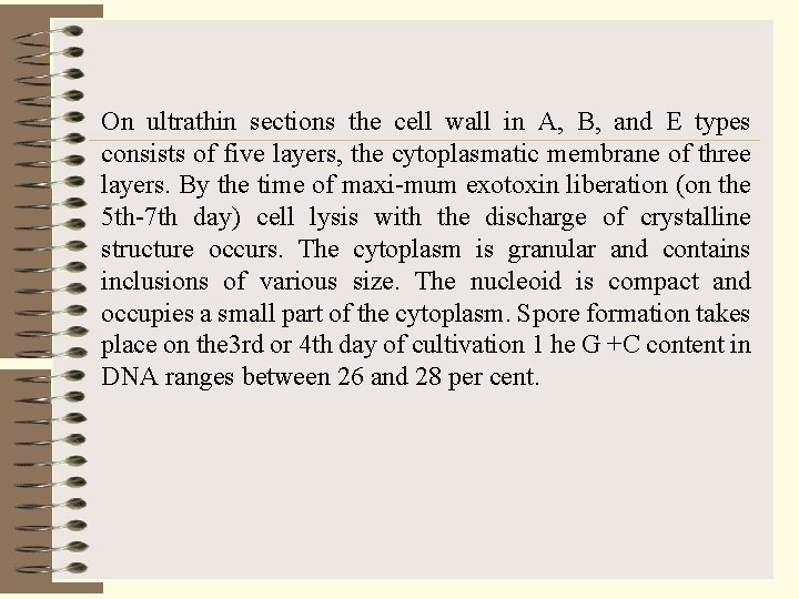 On ultrathin sections the cell wall in A, B, and E types consists of