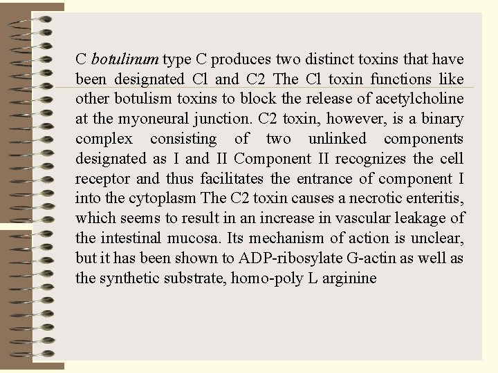 C botulinum type C produces two distinct toxins that have been designated Cl and