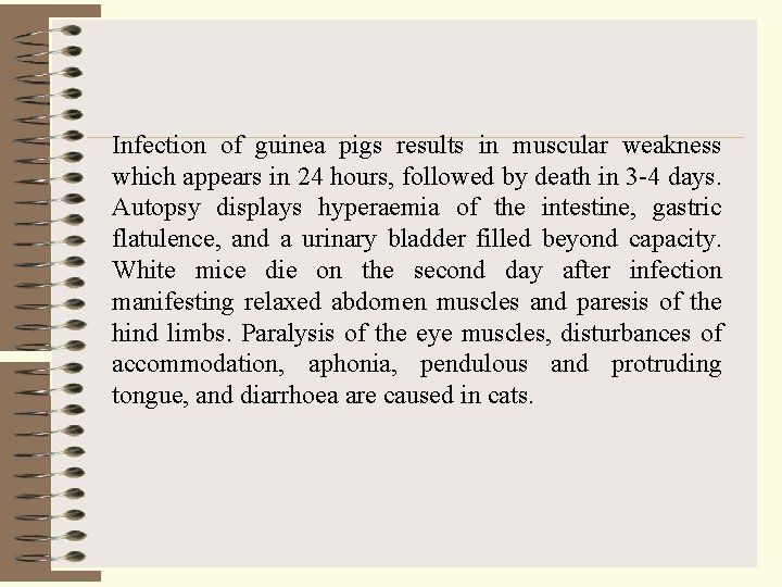 Infection of guinea pigs results in muscular weakness which appears in 24 hours, followed