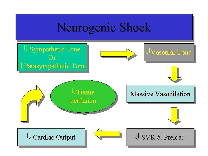 Neurogenic Shock Sympathetic Tone Or Parasympathetic Tone Tissue perfusion Cardiac Output Vascular Tone Massive