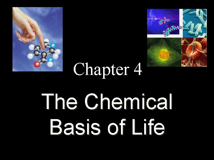 Chapter 4 The Chemical Basis of Life 