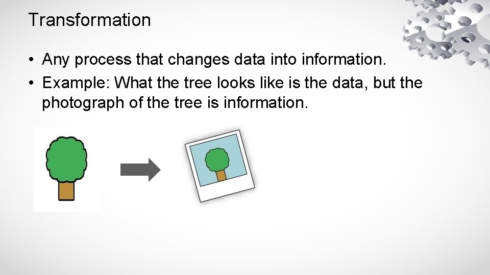 Transformation • Any process that changes data into information. • Example: What the tree