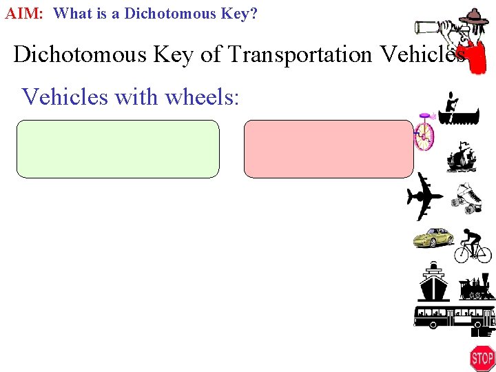 AIM: What is a Dichotomous Key? Dichotomous Key of Transportation Vehicles with wheels: 