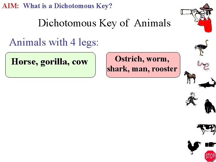 AIM: What is a Dichotomous Key? Dichotomous Key of Animals with 4 legs: Horse,