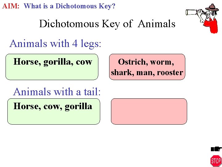 AIM: What is a Dichotomous Key? Dichotomous Key of Animals with 4 legs: Horse,
