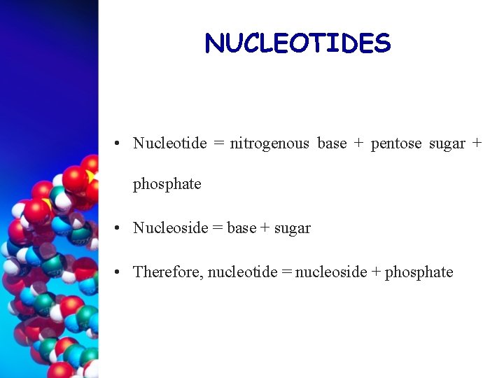 NUCLEOTIDES • Nucleotide = nitrogenous base + pentose sugar + phosphate • Nucleoside =