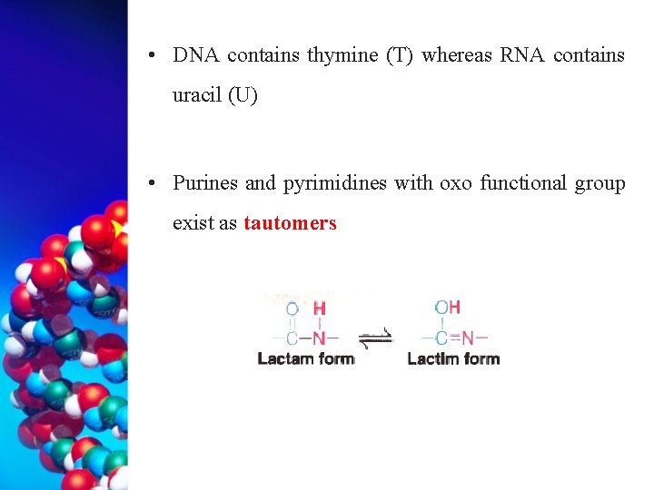  • DNA contains thymine (T) whereas RNA contains uracil (U) • Purines and