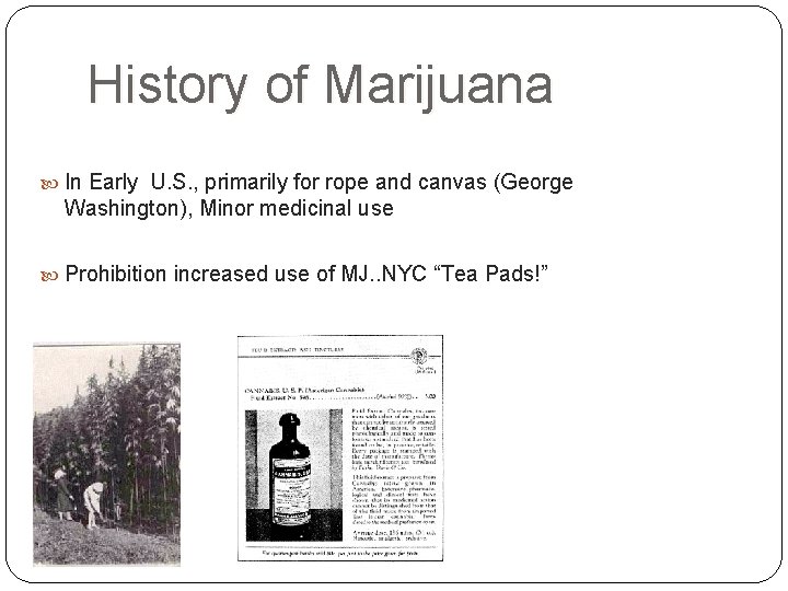History of Marijuana In Early U. S. , primarily for rope and canvas (George