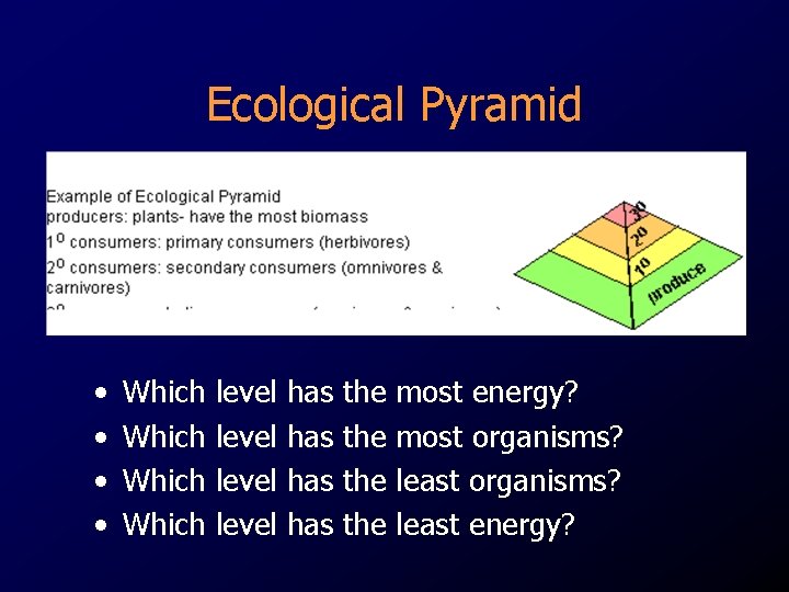 Ecological Pyramid • • Which level has has the the most energy? most organisms?