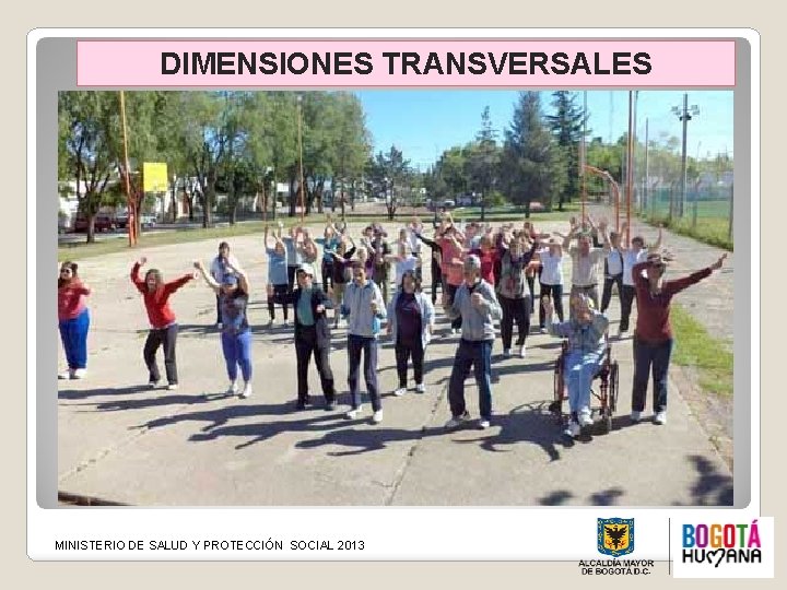 DIMENSIONES TRANSVERSALES MINISTERIO DE SALUD Y PROTECCIÓN SOCIAL 2013 