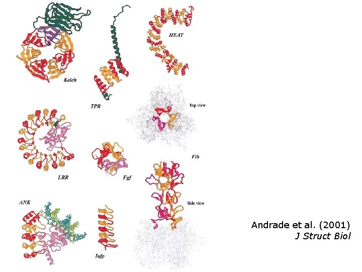 Andrade et al. (2001) J Struct Biol 