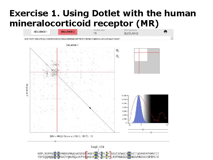 Exercise 1. Using Dotlet with the human mineralocorticoid receptor (MR) 